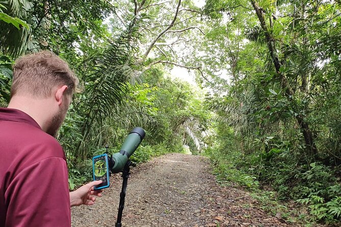 5hr Combo-Panama Canal Monkey Safari & Jungle Walk W/Local Brunch - Wildlife Encounters