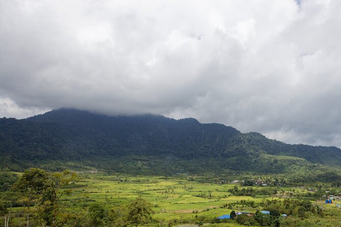 6 Days Bukit Lawang - Berastagi Tour (2D1N Jungle Treking + Sunrise Hiking) - Accommodations Details