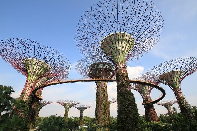 6-Hours Singapore Tour in Private Car or Minibus With Driver - Walk Across Undulating Bridges