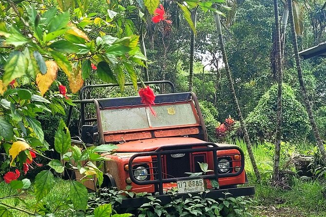 6 Hrs off Road 4x4 Adventure of Hidden Gems in Koh Samui Hills 1 - 4 Persons - Highlights