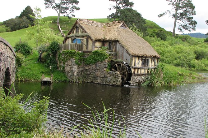 6hr Hobbiton Movie Set Tour - Departs Tauranga - Tour Highlights