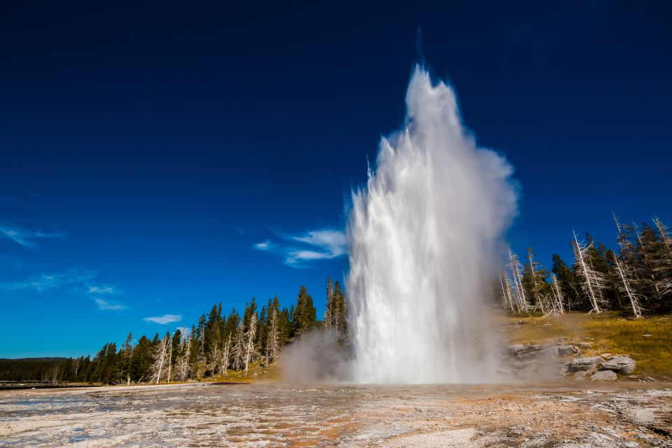 7-Day Yellowstone National Park Rocky Mountain Explorer - Itinerary