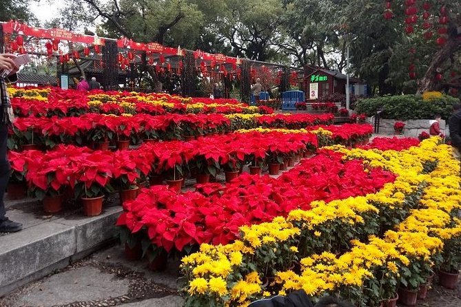 7-Hour Customised Private Guangzhou Sightseeing and Shopping Tour - Inclusions and Exclusions