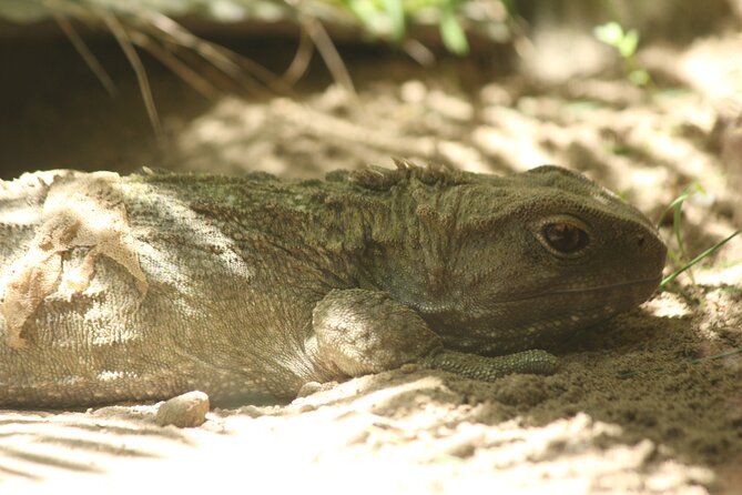 7-Hour Private Scenic Kapiti Coast Tour From Wellington - Main Attractions