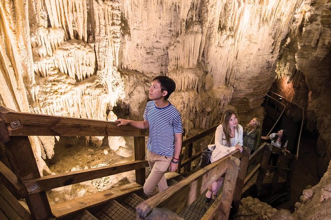 75-Minute Guided Ruakuri Cave Tour Waitomo - Tour Inclusions