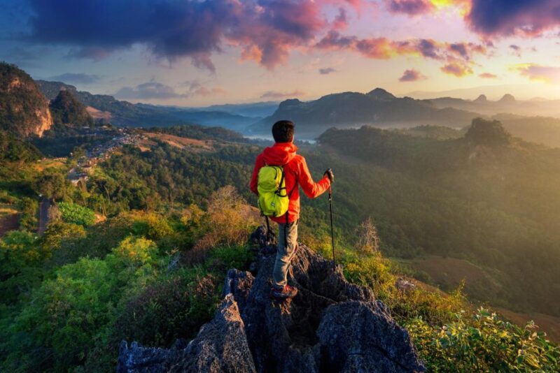 A Day in Munnar: Nature, Culture, and Local Flavor - Pothamedu View Point Experience