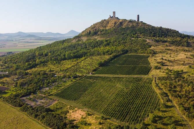 A Delightful Wine Tasting in the Scenic Countryside With Lunch - Vineyard Tour and Wine Tasting