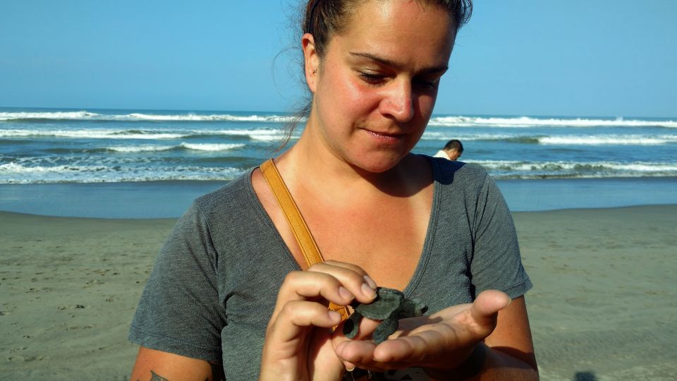 .Acapulco: Baby Turtle Release Tres Palos Lagoon Eco W/Lunch - Boat Tour of Tres Palos Lagoon