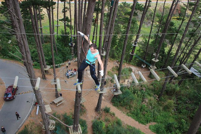 Adrenalin Forest Obstacle Course in Christchurch - Booking Your Adventure