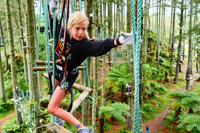 Adrenalin Forest Obstacle Course in Wellington - Safety Measures and Equipment