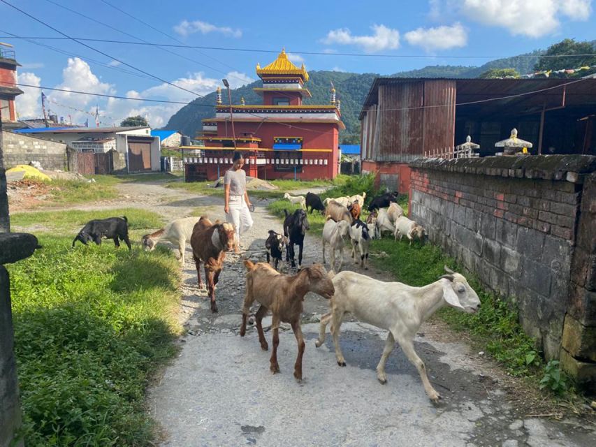 Afternoon Tibetan Cultural Tour - Itinerary Details