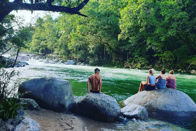 Afternoon Tour Mossman Gorge & Daintree River From Port Douglas - Daintree River Experience