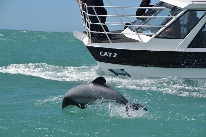 Akaroa and Banks Peninsula Small Group Tour (Nature Cruise or Dolphin Swim) - Scenic Drive Experience