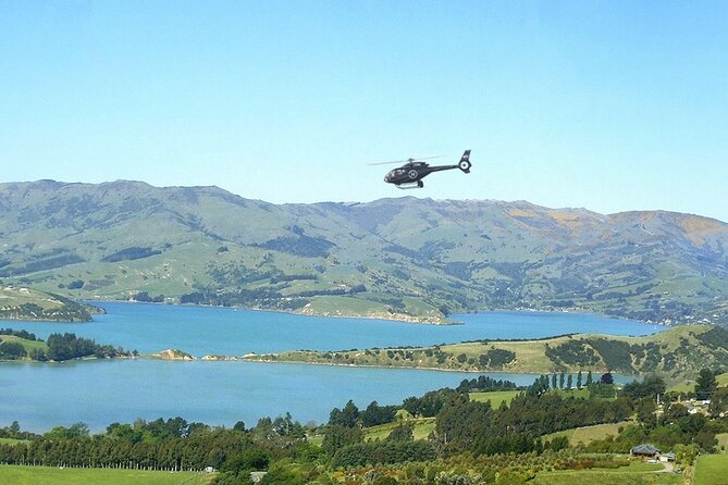 Akaroa & Banks Peninsula Scenic - Highlights of the Journey