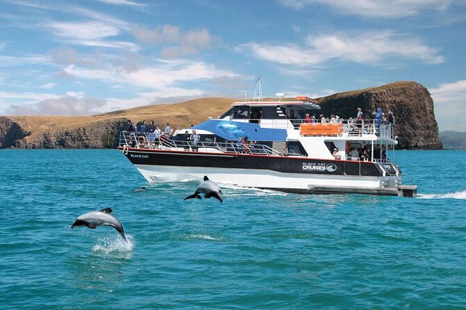 Akaroa Day Tour From Christchurch - Inclusions and Exclusions