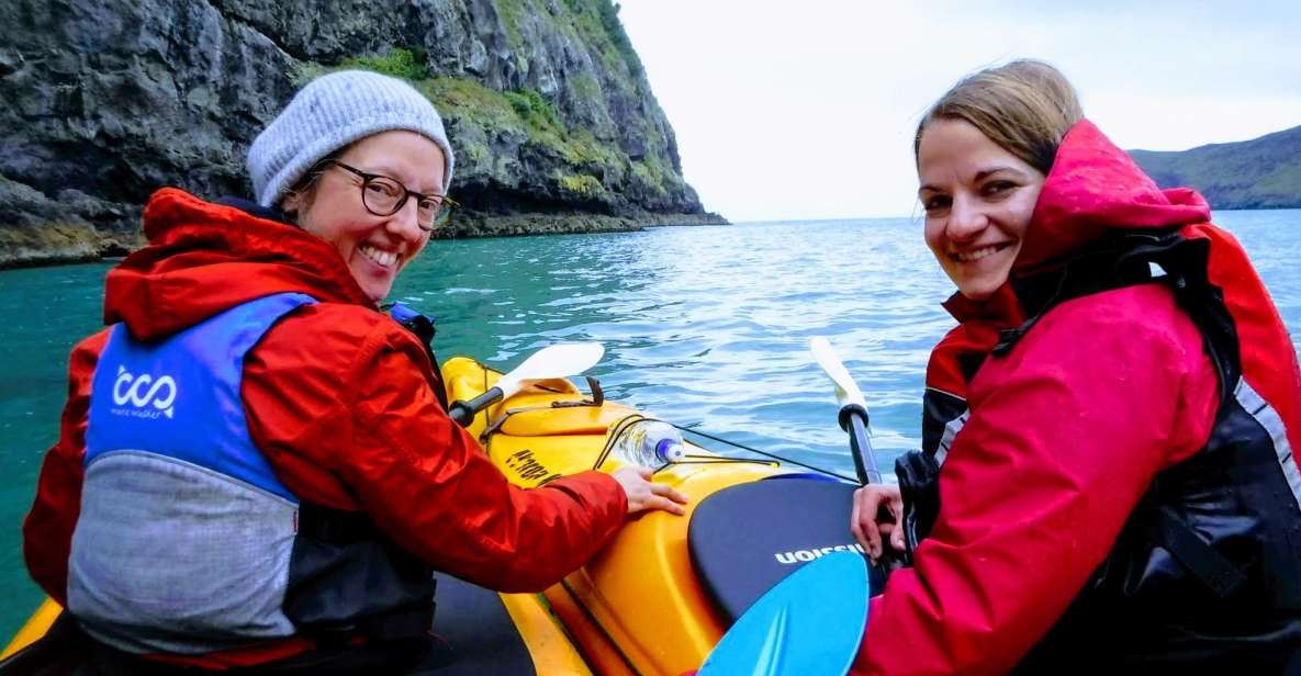 Akaroa: Guided Sea Kayaking Safari at Sunrise - Pricing Information