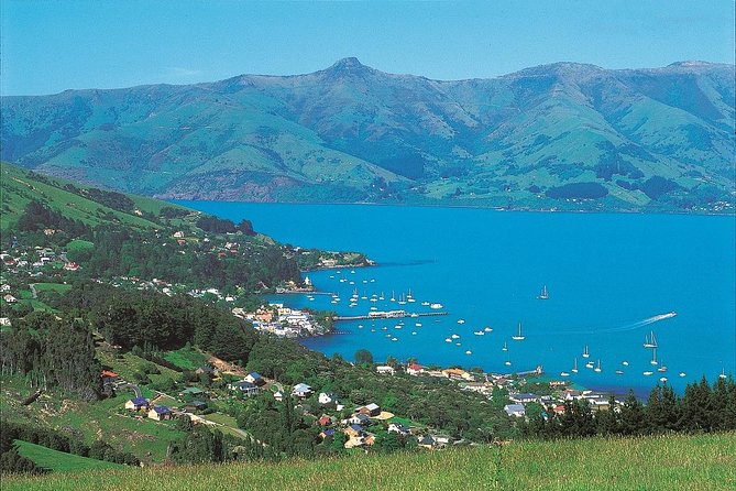 Akaroa Shore Excursion: Akaroa Harbour and Giants House Local Tour - Detailed Tour Inclusions
