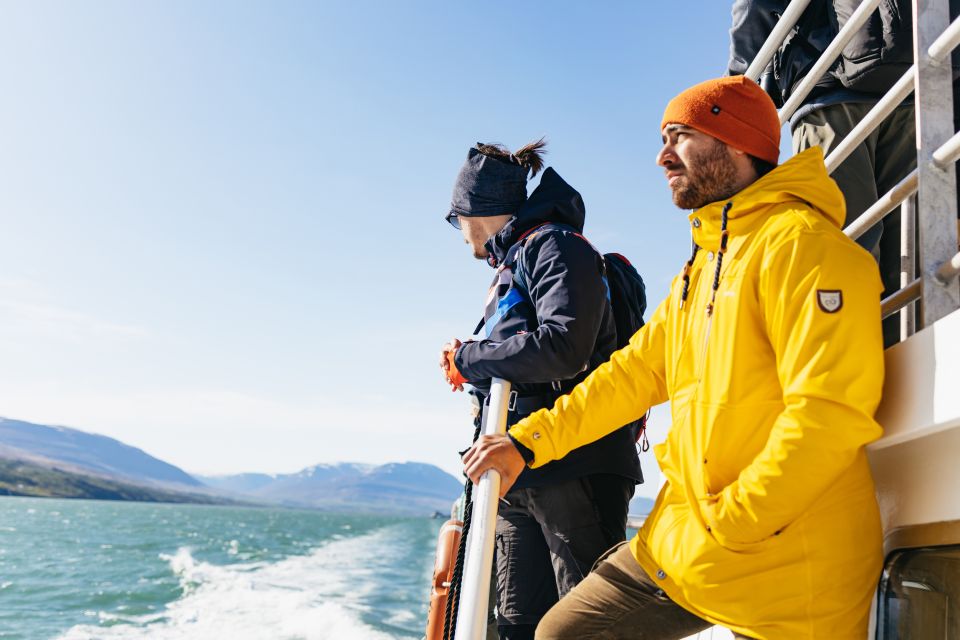 Akureyri: 3-Hour Classic Whale Watching Tour - Experience Highlights