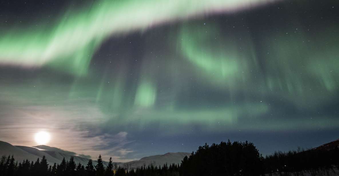 Akureyri: Northern Lights 4WD Day Trip - Pricing and Booking Details