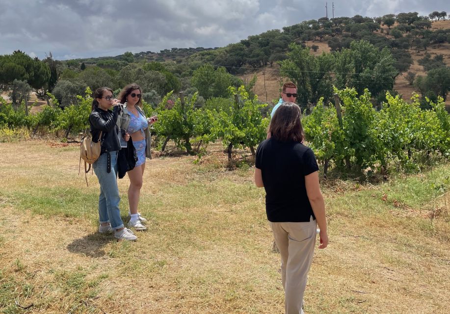 Alentejo Wine From Évora - Visiting a Medieval Hilltop Castle