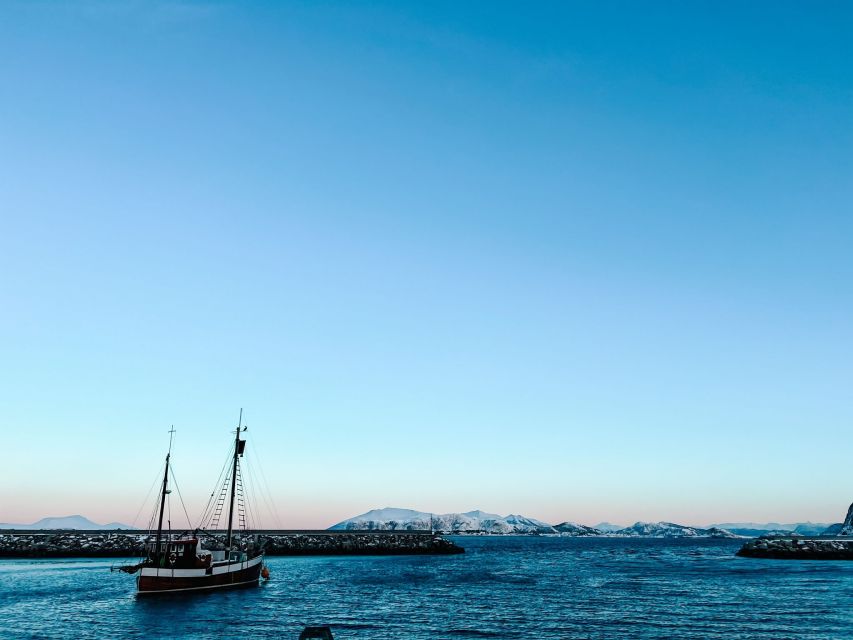 Ålesund: Ålesund and Surrounding Islands Audio Guide Tour - Highlights of the Tour