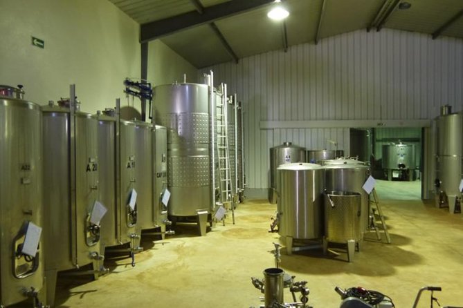 Algarve Wine Tour of Two Wine Estates - Wine Tasting Experiences
