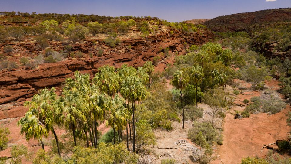 Alice Springs: 4WD Palm Valley Tour With Lunch - Tour Details