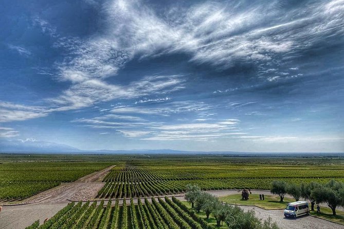 All Day, Small Group, Luxury Wine Tour With Gourmet Lunch - Pickup and Meeting Details