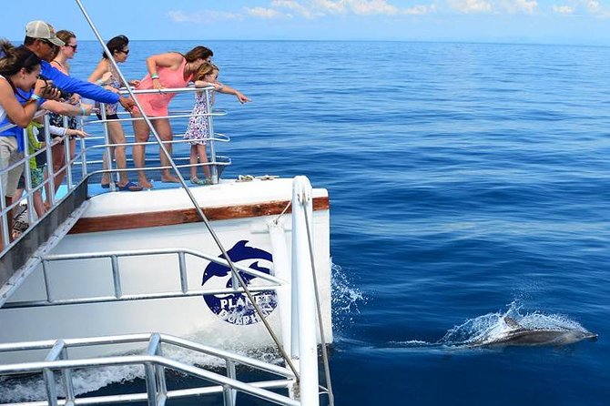 All Inclusive Catamaran Eco Adventure From Manuel Antonio - Marine Life Spotting