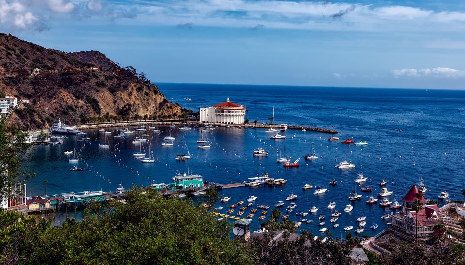 All-Inclusive Guided Tour of Catalina Island From Orange Co - Small Group Tour Highlights