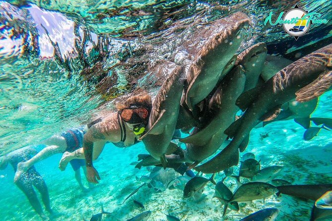 All Inclusive Snorkeling at Hol Chan - Snorkeling Tour Highlights
