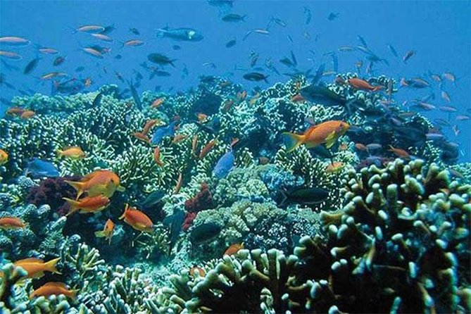 All Ticket Inclusive-Blue Lagoon Snorkeling-Ubud Monkey Forest & Ubud Waterfall - Nearby Attractions