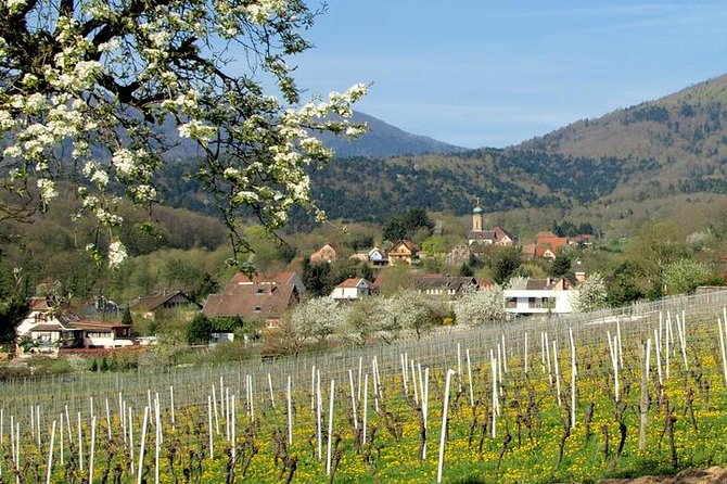Alsace 4 Wonders Small-Group Day Trip From Colmar - Tour Details and Inclusions
