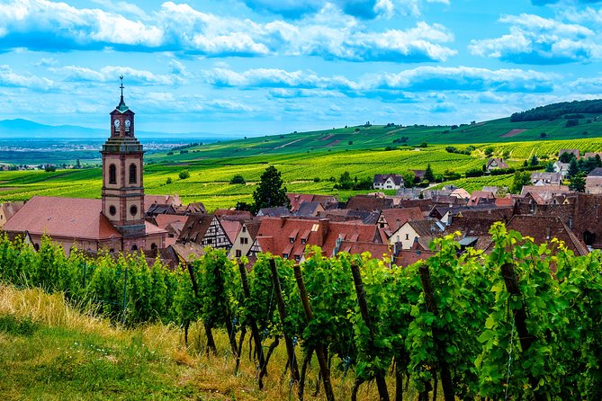 Alsace Half Day Wine Tour From Colmar - Exclusions