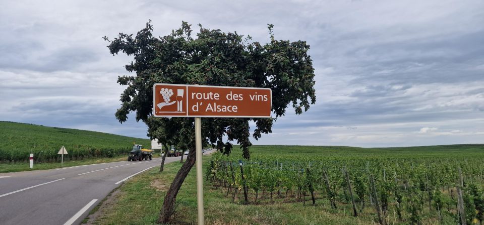 Alsace: the Legendary Wine Road Tour With Tasting and Lunch - Pricing Details and Booking Options