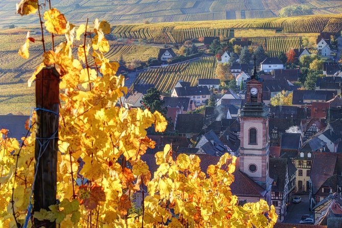 Alsace Villages Half Day Tour From Colmar - Included in Tour