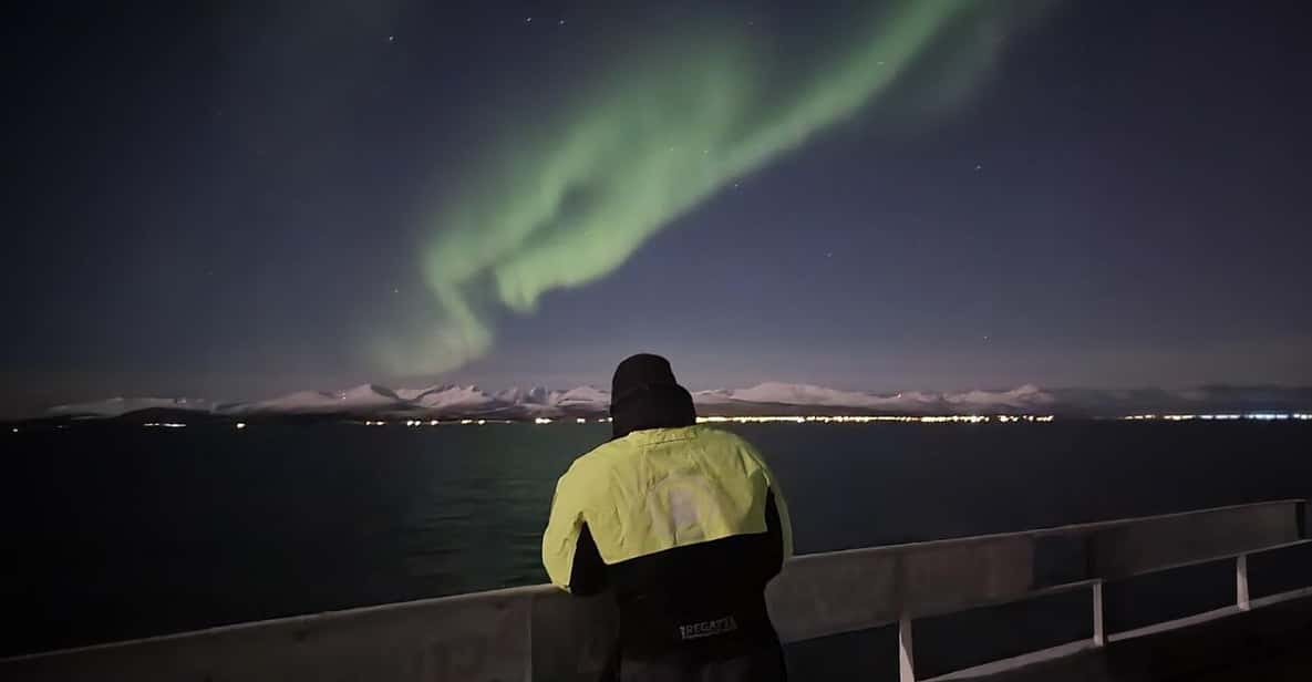 Alta Northern Lights Safari - Highlights of the Experience