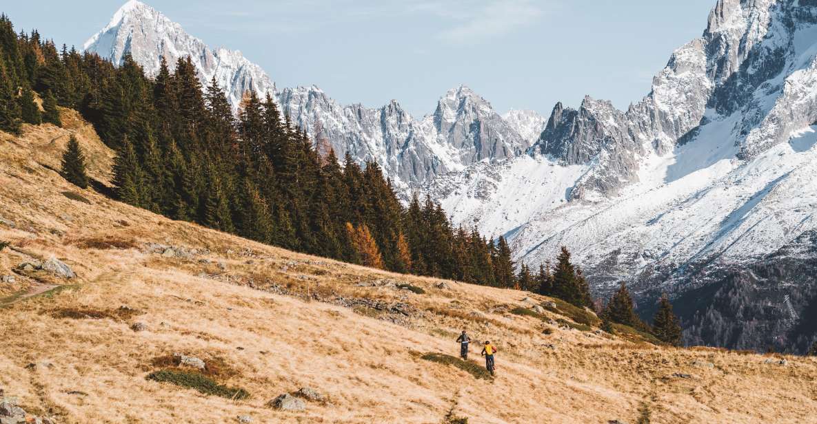 Altitude Experience Above Chamonix by Ebike - Pricing and Booking Details