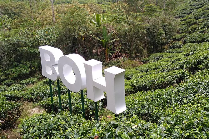 Amazing Cameron Highland Day Tour From Kuala Lumpur - Attractions and Highlights