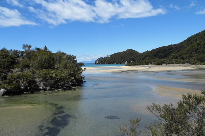 Amazing New Zealand Itineraries & Chauffeur-Driven Tours - Private Transportation Details