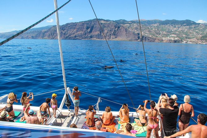 Amazing Skywalk, Wine Tasting & 4x4 Adventure + Dolphin Watching - Transportation Details