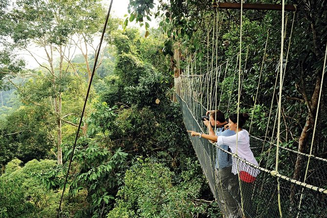 Amazing Taman Negara Day Trip From Kuala Lumpur Including Lunch - Included in Tour