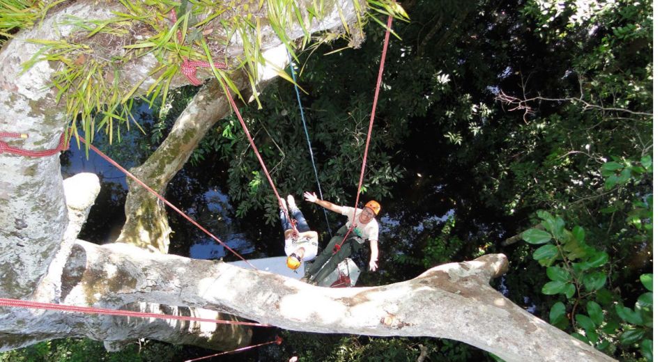 Amazon Jungle 3-Hour Tree Climbing Activity - Full Description