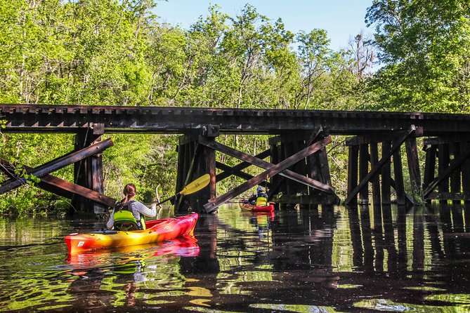Amelia Island Guided Kayak Tour of Lofton Creek - Tour Features