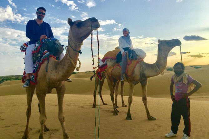 An Overnight Non-touristic Camel Safari (2PM to 11:30 AM Next Day) - Tour Details