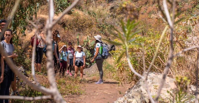 Anaga: Women Wise Footprints Tour - Itinerary and Transportation