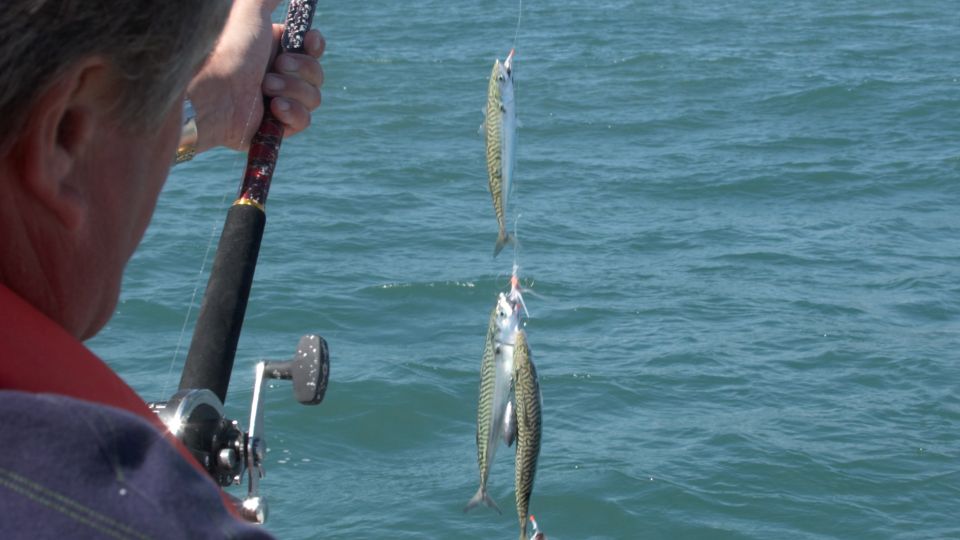 Ancestral Fishing: Fishing With an Experienced Rapa Nui - Pricing Information