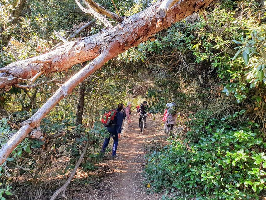 Ancona Riviera Del Conero: Hiking Tour - Coastal Viewpoints and Panoramas