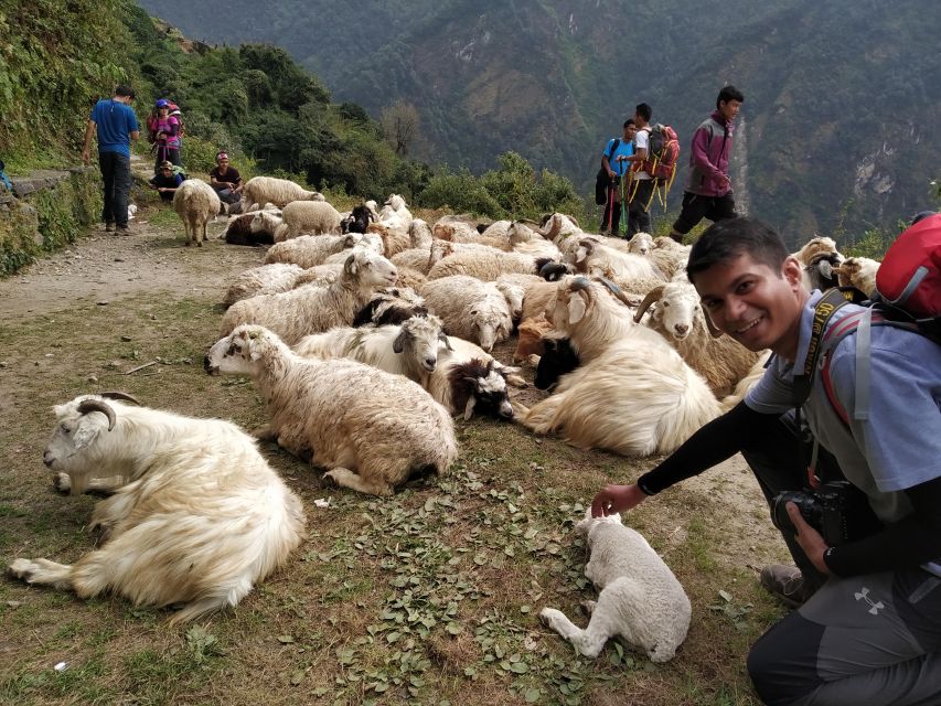 Annapurna Base Camp Trek via Poon Hill Starting From Pokhara - Itinerary Highlights