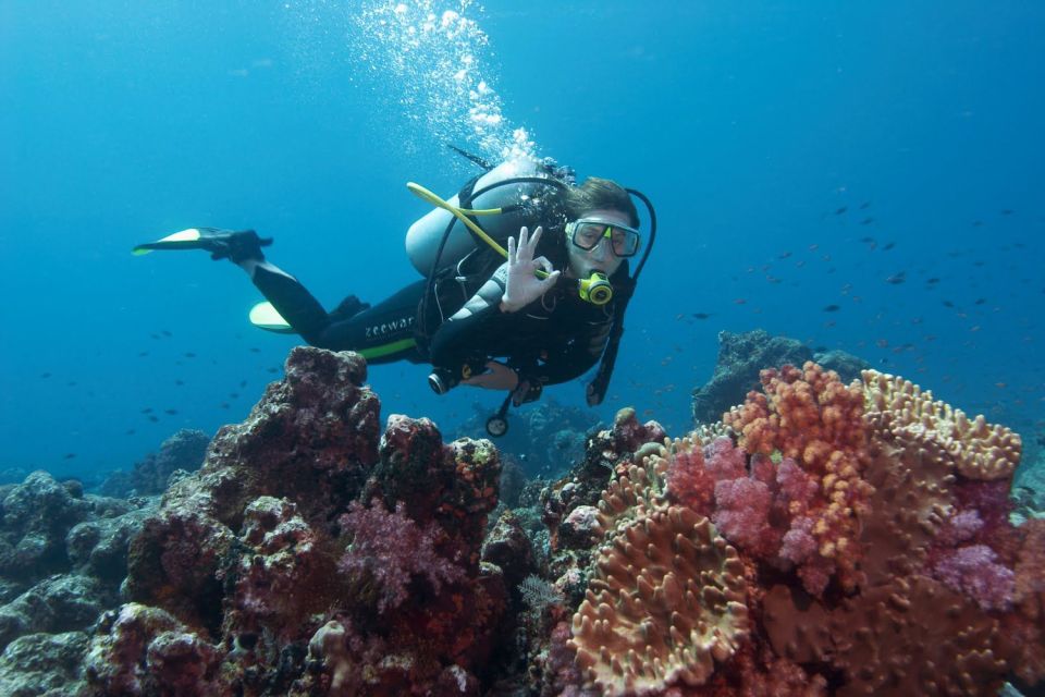 Antalya/Kemer: 2 Dives Scuba Diving Trip With Lunch - Experience Highlights